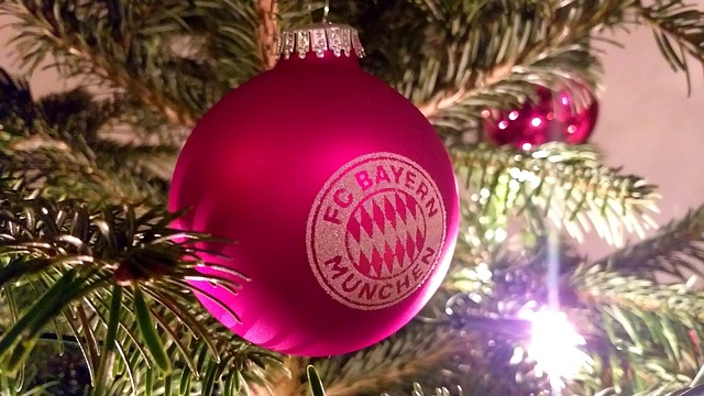 太阳队主教 太阳队主教