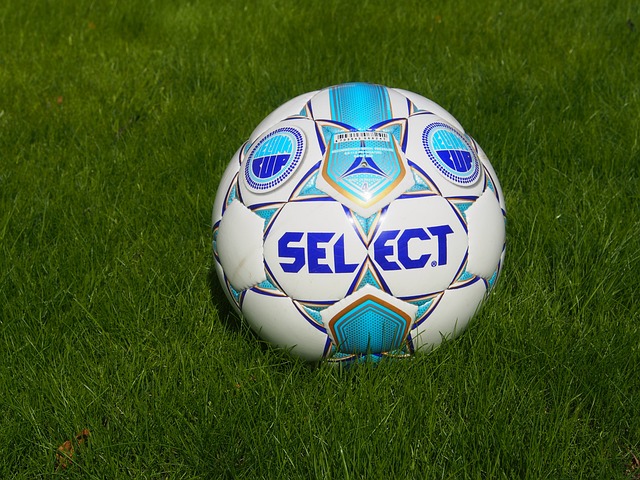 楚地意识到 楚地意识到