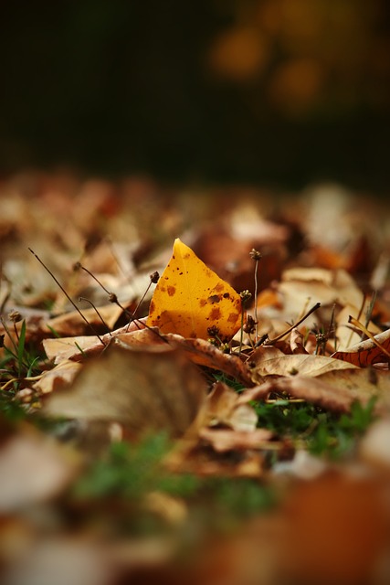 林丹与家人 林丹与家人